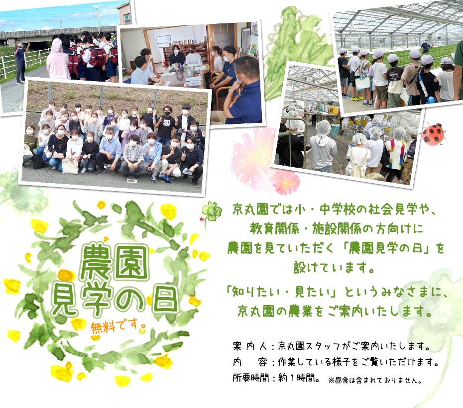 京丸園では一般の方々を対象に農園を見ていただく「農園見学の日」を設けています。小・中学校の社会見学など、「知りたい・見たい」というみなさまに、京丸園の農業をご案内いたします。