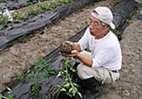 土耕部担当:鈴木 啓之