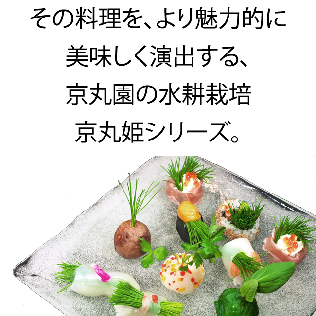 その料理を、より魅力的に美味しく演出する、京丸園の水耕栽培姫シリーズ。