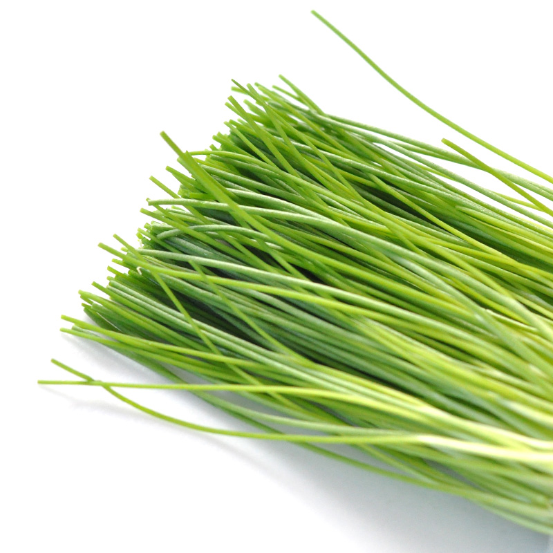 姫ねぎ 10パック